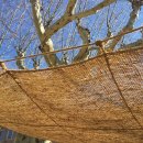 오즈스윗홈 이미지