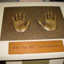 안골농원 이미지