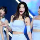 다원 이미지