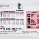 입북 | [푸들 미용 스타일 추천] 귀염뽀짝 변신 완료! 푸들 미용후기 (놀러왕왕왕 후기)
