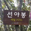 다사랑약국앞 이미지