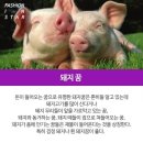 오늘도대박나는집
