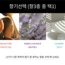 HAP(햅) | [패브릭미스트추천] 일상을 포근하게 채우는 햅(HAP) 런드리 향 리얼 후기