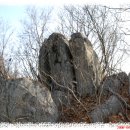 소호농장 이미지