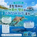고래선박 | 필리핀 보홀 호핑 투어의 거북이 명소와 고래상어 와칭 후기