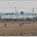 화성정류장 이미지