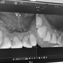 서울도담치과의원 이미지