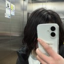 타이어프랜드 | 신입생이긴한데 중고신입생