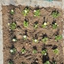 안산서부건강생활지원센터 | 안산서부건강생활지원센터에 오면 (( ))이 있다.