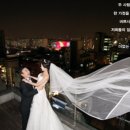 김하균 카카오 검색결과