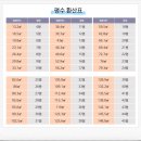 공급 전용 면적 및 주거공용 면적평수 계산 정리(ft. 아파트평수) 이미지