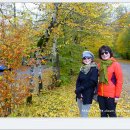 독일호프 이미지