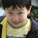 나비야놀자박물관 이미지