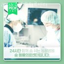 24시 숨 동물병원 이미지