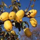 춘천 종합사회복지관 이미지