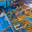 대게플러스 | 맛집/상봉] 상봉 홈플러스에서 대게 구매해 보신 분! 접니다~ 솔직한 후기와 대게 손질 방법 알려드릴게요!