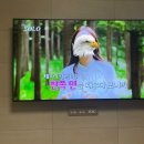 배산작은도서관 | 구의 증명/최진영소설/서울의 봄 후기/ 부산대 브로넛/쥴리상점/동래술집/홍걸미친포차/배산작은 도서관