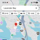 라벤더 민박 이미지