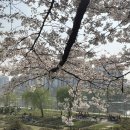 김밥스쿨 | [식후감] 학창시절이 새록새록! 공덕의 분식집 공덕이마트 스쿨푸드 떡볶이, 스팸마리김밥 후기