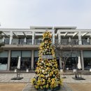 377 | 남양주 대형카페 THE377, 아이랑 가기 좋은 베이커리 카페 후기