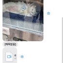 마린파크 동물병원 네이버블로그