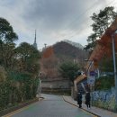 서울 도심 속에 있는 남산에 오르며 산책로 따라서~~~ 이미지