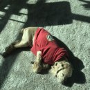 해피한 멍 이미지