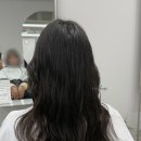 민주살롱 네이버블로그