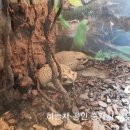 은산공인중개사사무소 이미지