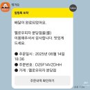 피자알볼로속초점 | 처절했던 숙취해소 24시간의 사투 (깨노니샷 이지스마트 필름 간개무량 토레타)