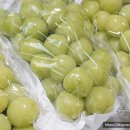 한송농장 이미지