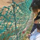 카페거리 진입부 | 인천 늘솔길공원. 양떼목장. 오이도 조개구이. 주말 가족나들이. 주말 아이와 가볼만한 곳 추천. 배곧...