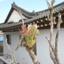 안녕바다야 민박 이미지