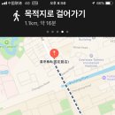 외대갈매기 이미지