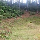 꿈에본펜션 이미지