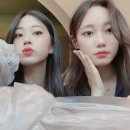 전북외국어고등학교 이미지