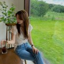 들어오시개 이미지