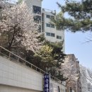 연암순대국