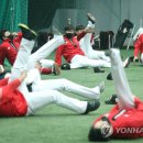 신세계종합유통 이미지