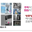 세이프죤 Daum카페