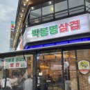 삼겹장수소금구이 | 대전 봉명동 고기집 맛집 박봉명 삼겹 소금구이생갈비 후기