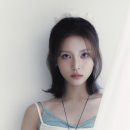루나 bnt뉴스