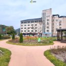 금산효사랑요양병원 네이버블로그