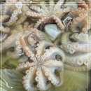 섬마을횟집 이미지