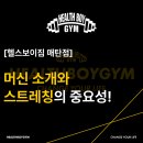 헬스보이짐 매탄점 | 헬스보이짐 매탄점 머신의 종류와 운동 전 스트레칭의 중요성!
