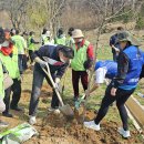 미추홀구 자원봉사자 700명, 문학공원에 ‘탄소중립’ 희망 심었다 이미지