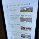 [청송 여행] 청송 대명리조트 소노벨 청송 온천, 스위트 침대형 객실 후기