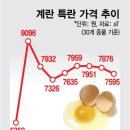 벧엘농원 | 살충제 계란 번호 알아보기 / 계란 먹어도 되는 것일까..?
