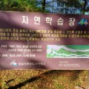 단대게이트볼장 이미지