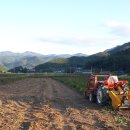 선우농장 이미지